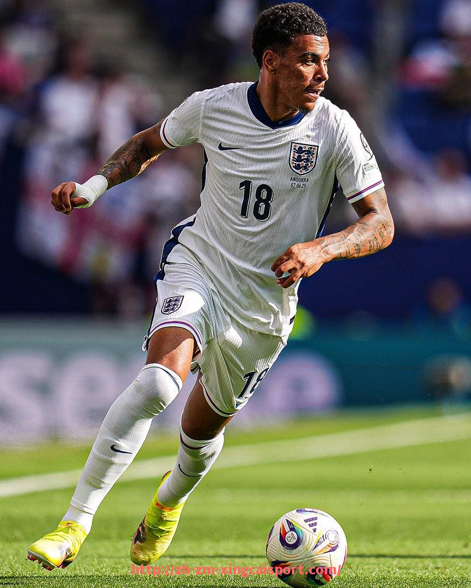 杏彩体育-世俱杯应援物品带什么？官方推荐清单全收录